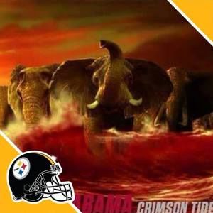 Meet your Posher, Ray